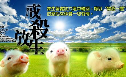ʲô˼Ĺʲô