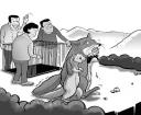 什么不能放生 什么不能放生