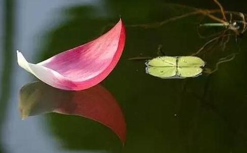 ʲôX֧
