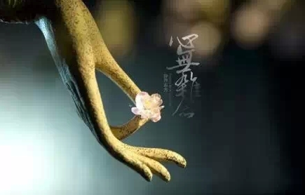 ɷ𶼲ܱ