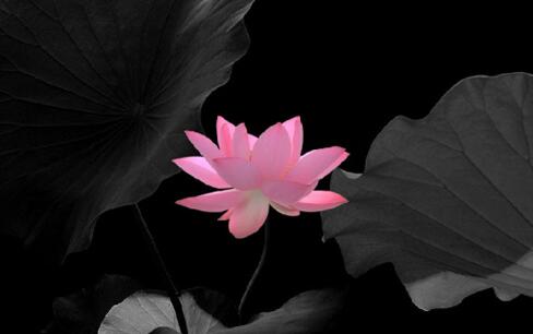 Ҫ編t韩ͺܴ