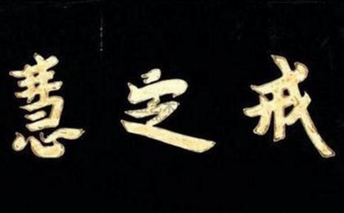 䶨W(xu)ָʲô