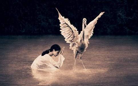 ıģ҂(yng)ԓ