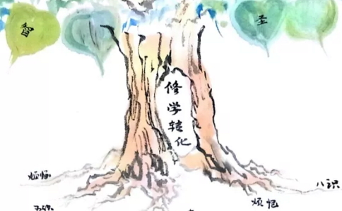 W(xu)ҪW(xu)D(zhun)ҪA