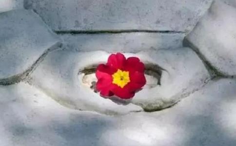 Ã(dng)