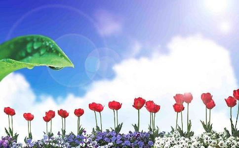 һ(chng)Ĺ ںô