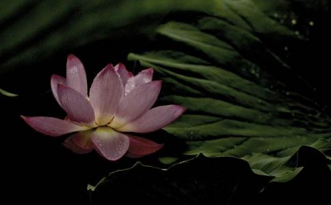 ʼͨSD(zhun)