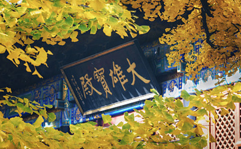 یĴʲô˼