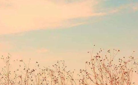 ̓ ܬF(xin)