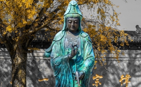 𷨎ʲôģĵķ