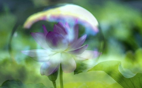 (mng)Ӱ˽֮K