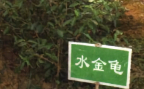 ˮʲô裿ˮ?sh)ɁЧƷ|