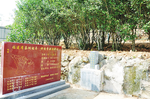 ɲʲô裿ʲôc(din)