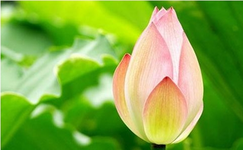 編ʲôǔքeеĲƽȣޟoքe