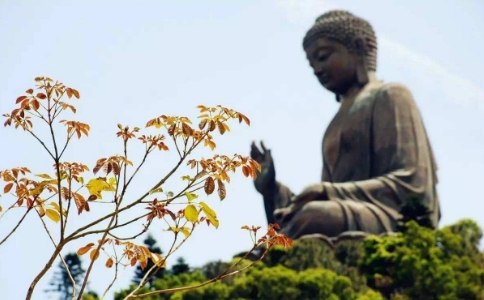 տތW(xu)40lZ(y)_ʾ