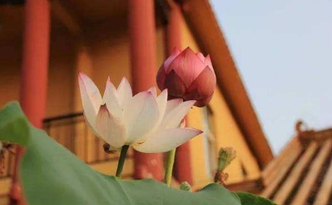 􅢷(yng)ԓôҪ