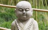 ڼҾʿ԰ѷڲφ