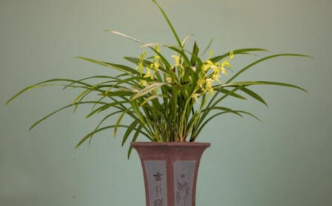 găUNmĹ
