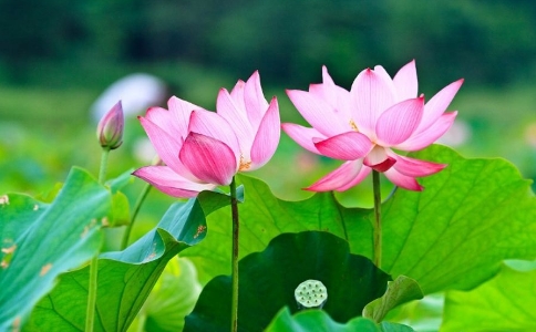 ӡ󎟣ʮʲô̎