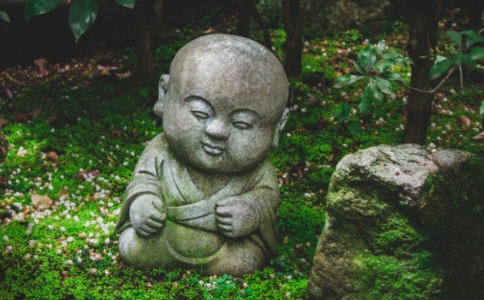 ʲô_(ti)l(f)ԕ(hu)Y(ji)_(ti)vԒY(ji)ҪνQ