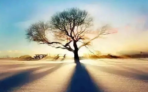 \˳족ʲô˼