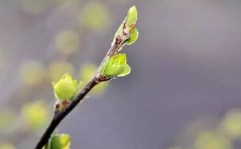 ʵˣĥw