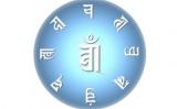 (zhn)了(jin)(zhn)书¼