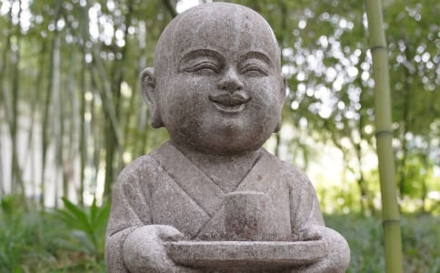 Ʒ葪(yng)ԓʲô