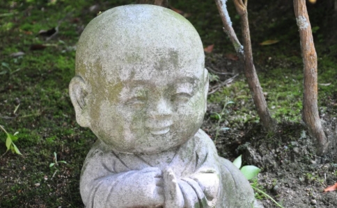 𷨎½ÿ(g)(dng)(yng)ԓ