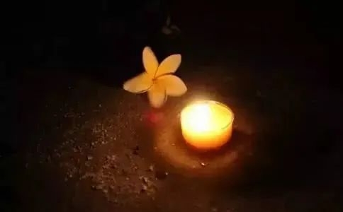 ʵˣʲô˶