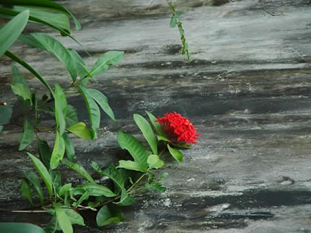 佛理禪機(jī):真正的強(qiáng)大來源于你的內(nèi)心