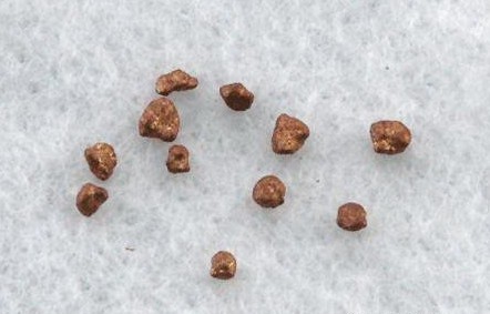 無(wú)骨舍利