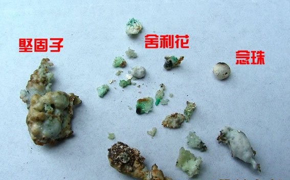 曇云法師舍利